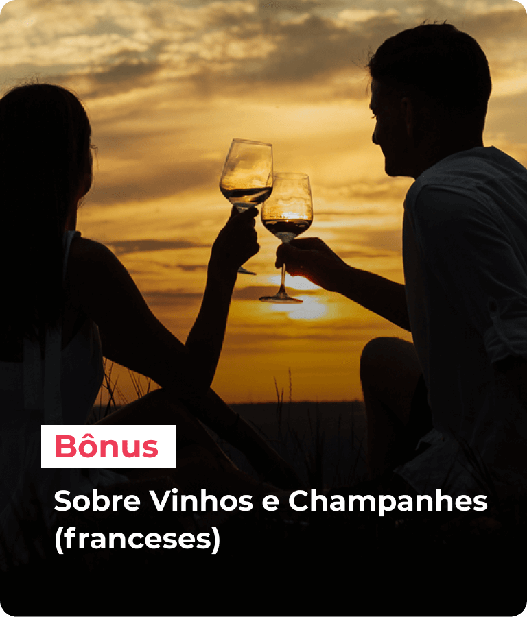 Sobre Vinhos e Champanhes (franceses)